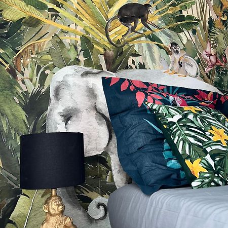 Studio Tropical , Vierzon , Proche Gare , Tout Confort Exteriér fotografie