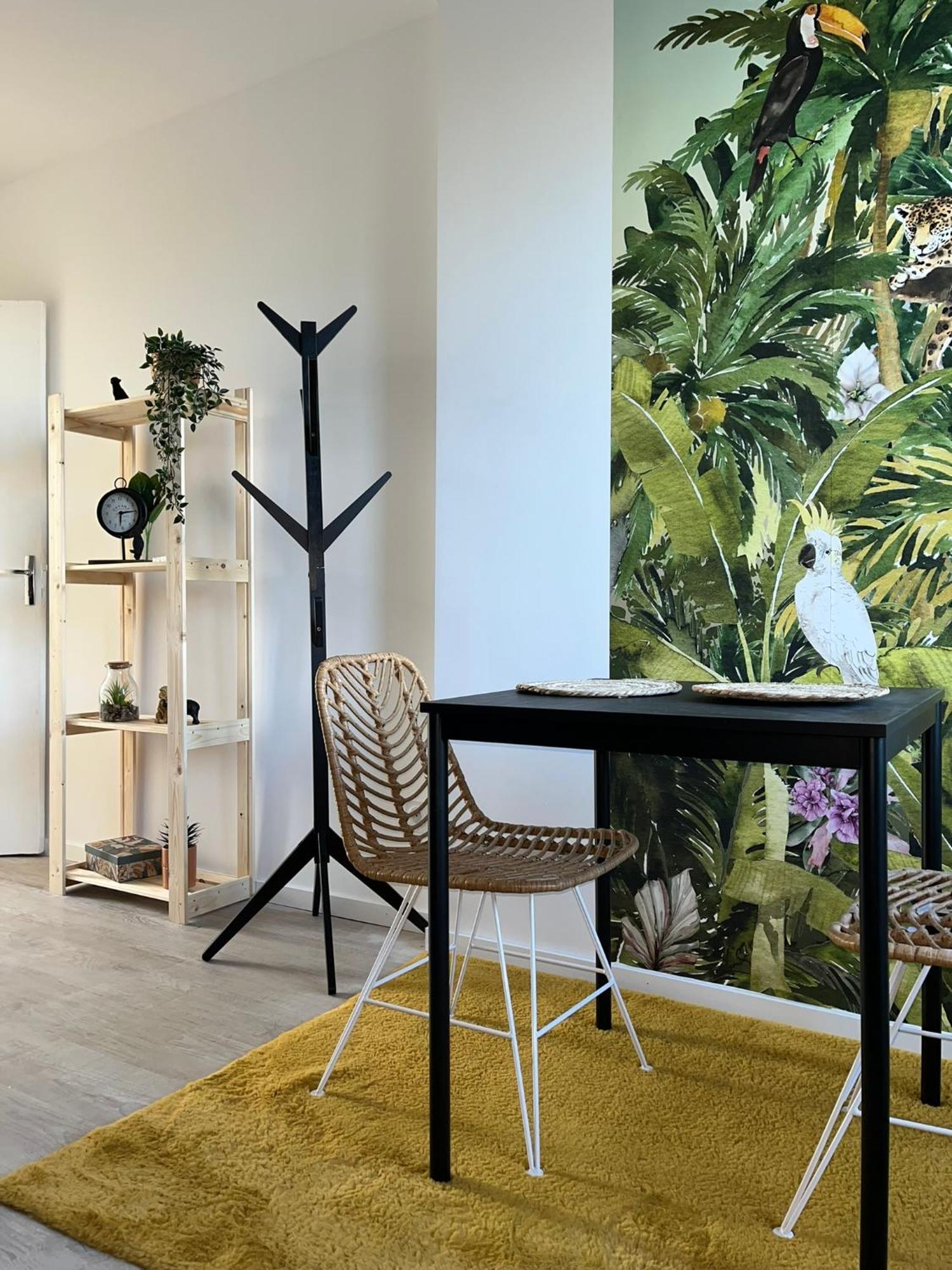 Studio Tropical , Vierzon , Proche Gare , Tout Confort Exteriér fotografie